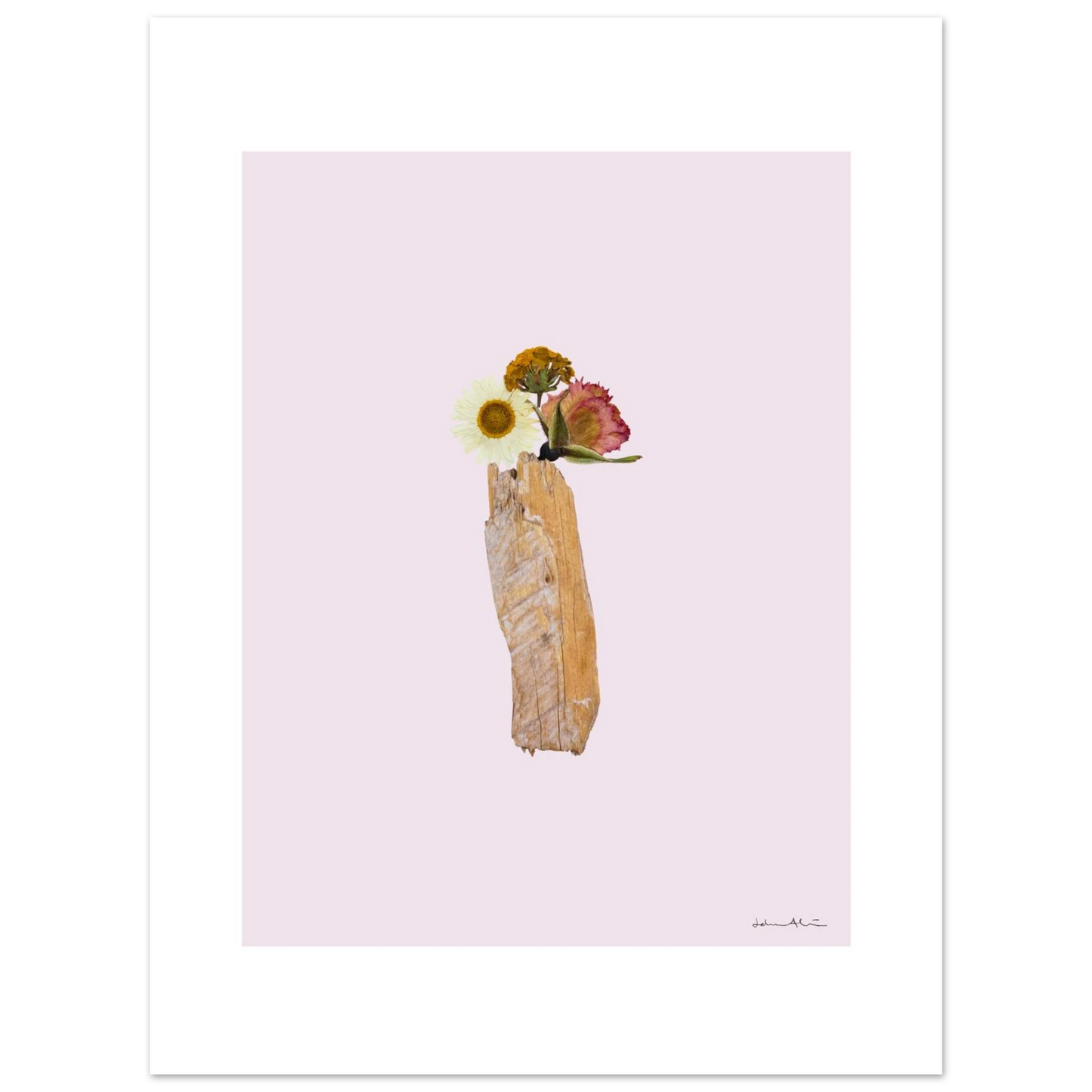 176a1fc7-c5bb-4a37-b57d-e72a8a2862fa