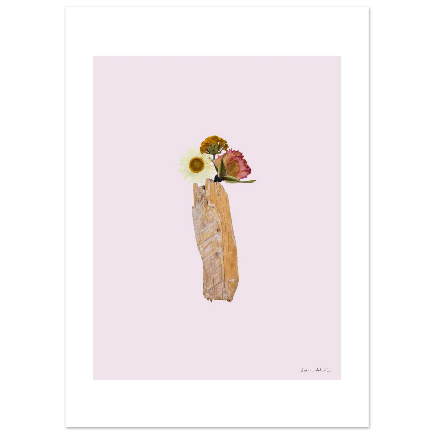 177ec5c0-3311-4565-81f7-5244d6250eec