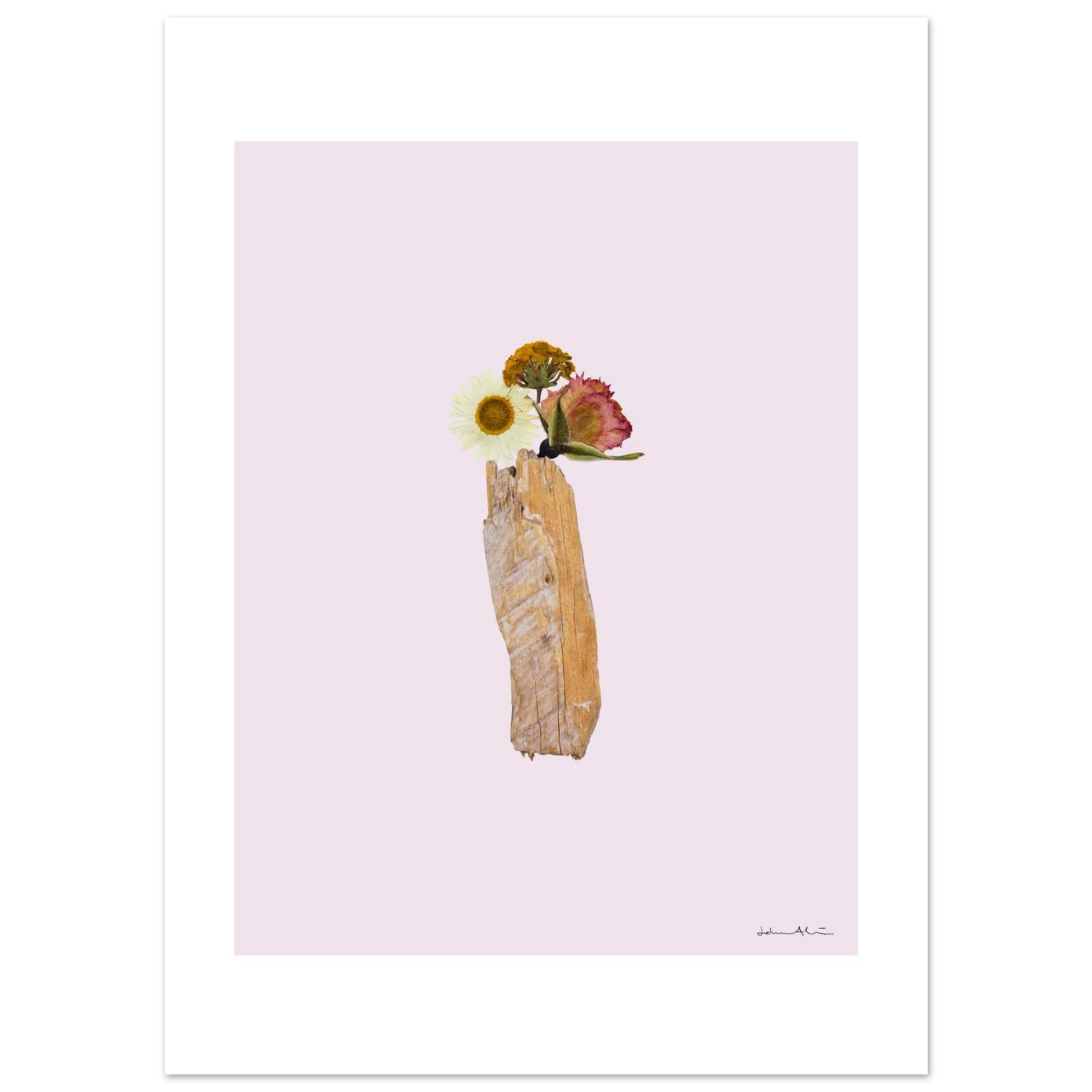 177ec5c0-3311-4565-81f7-5244d6250eec