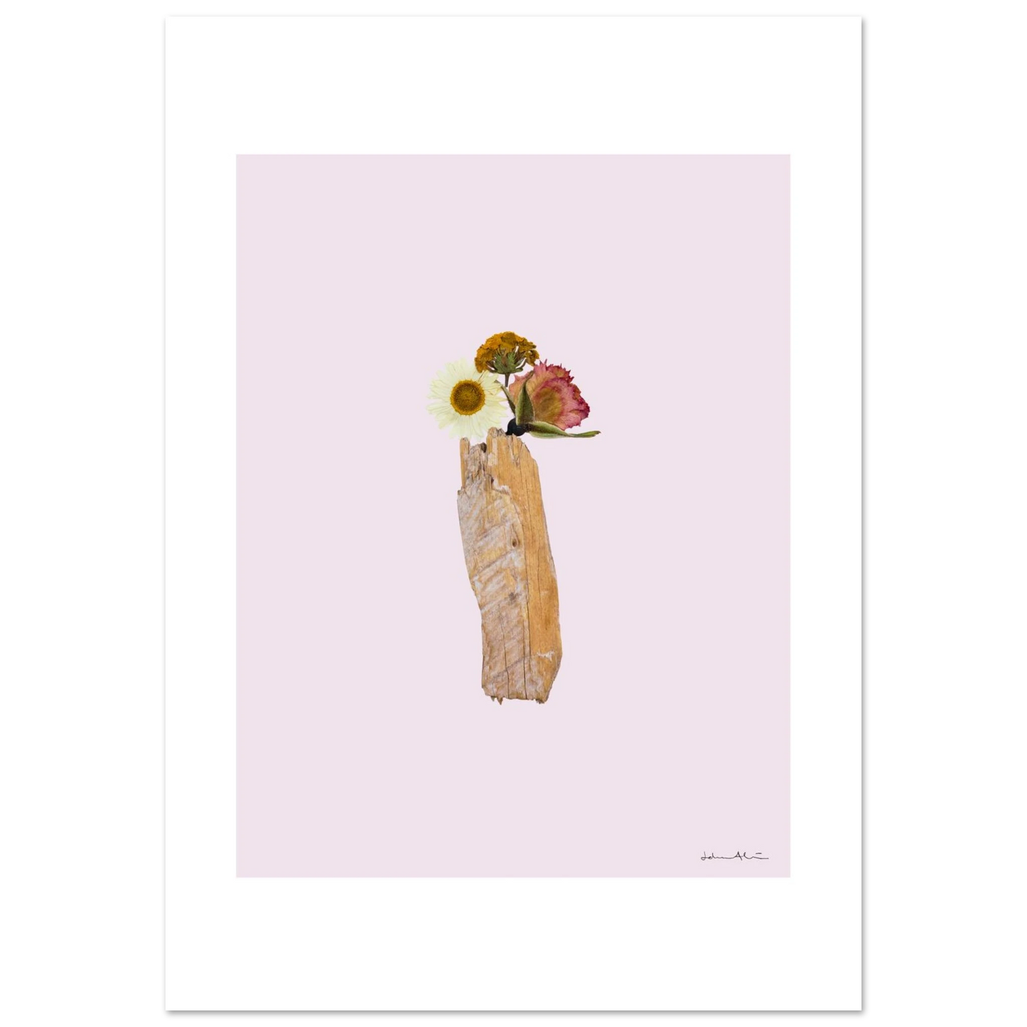 245a3ec6-0b8c-494a-a93a-95791a1b8d3f