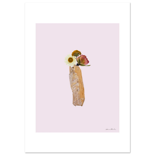 245a3ec6-0b8c-494a-a93a-95791a1b8d3f