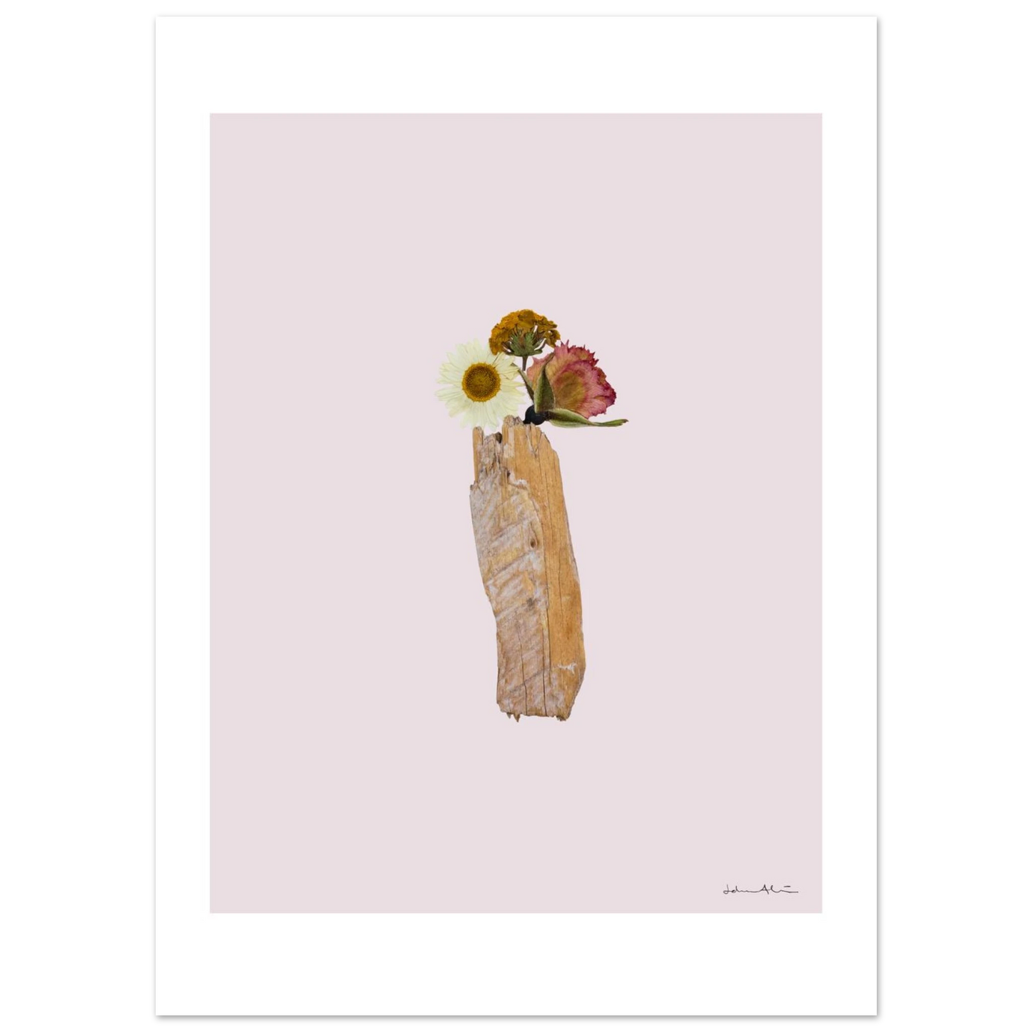 2b6ad454-782a-40ca-873c-7018e3f7ac5f