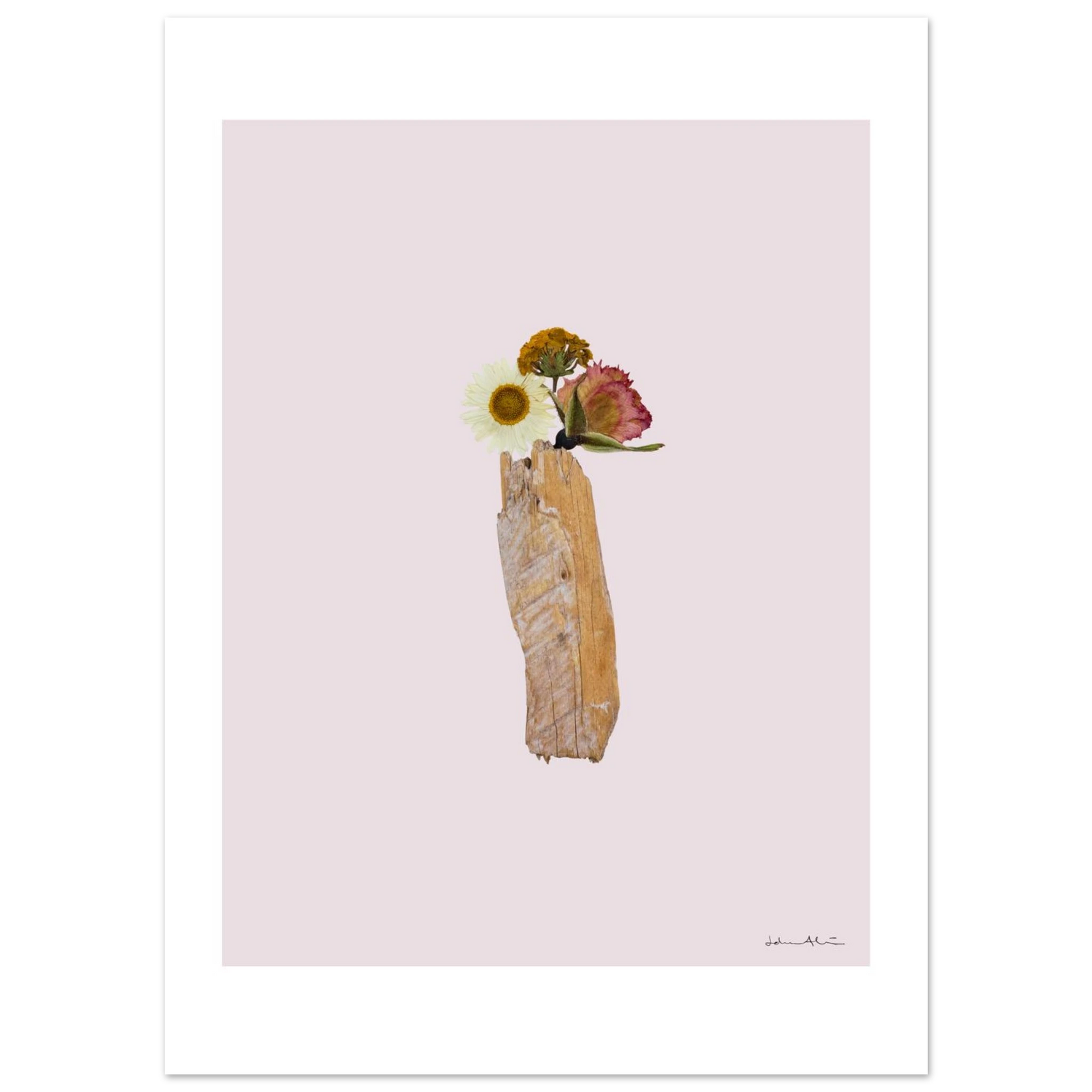 2b6ad454-782a-40ca-873c-7018e3f7ac5f