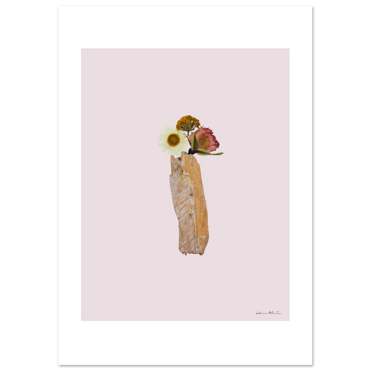 300b4991-4bdb-454b-aeac-d079c7e7bb40