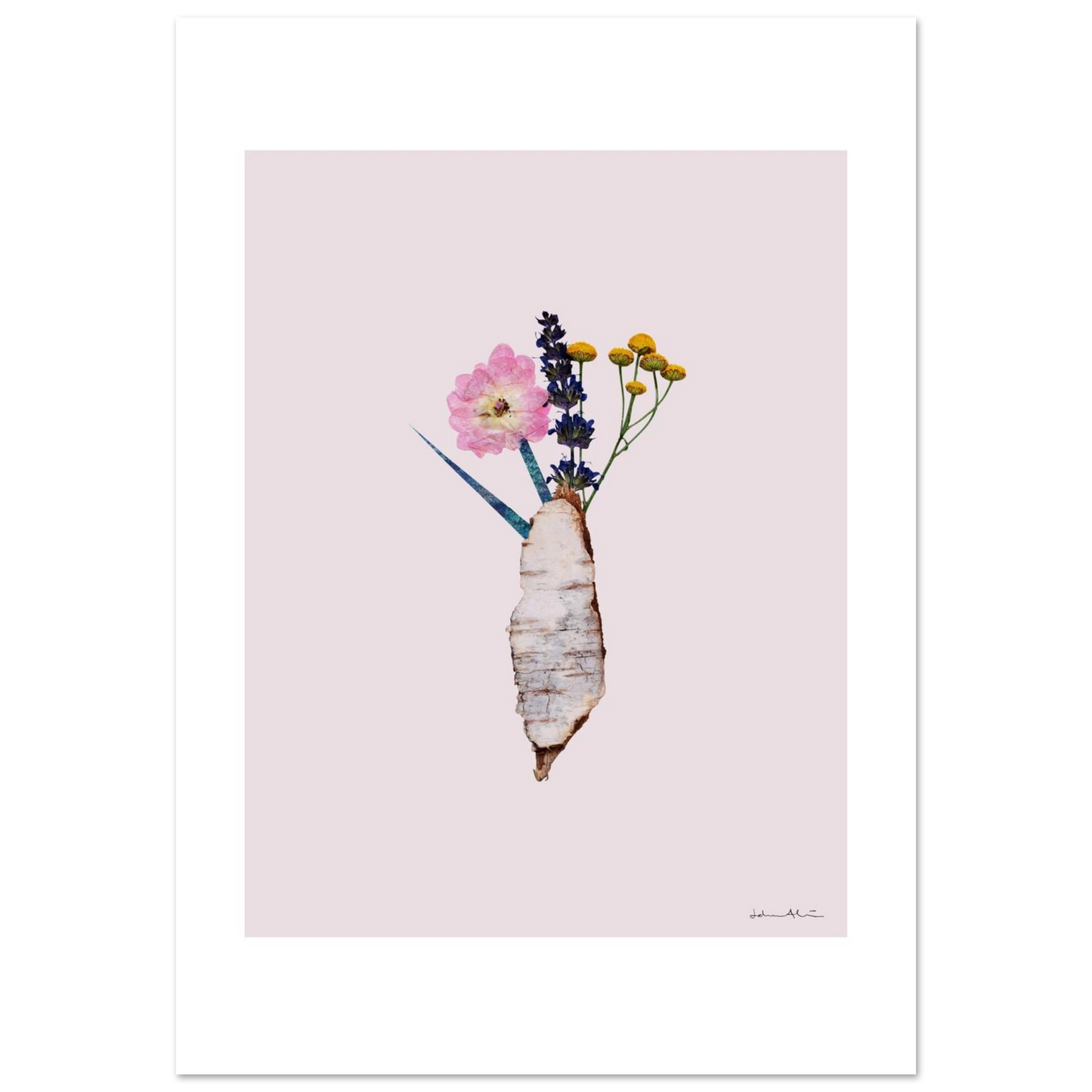 31d23447-aac3-45ba-b554-ed7a577989a2