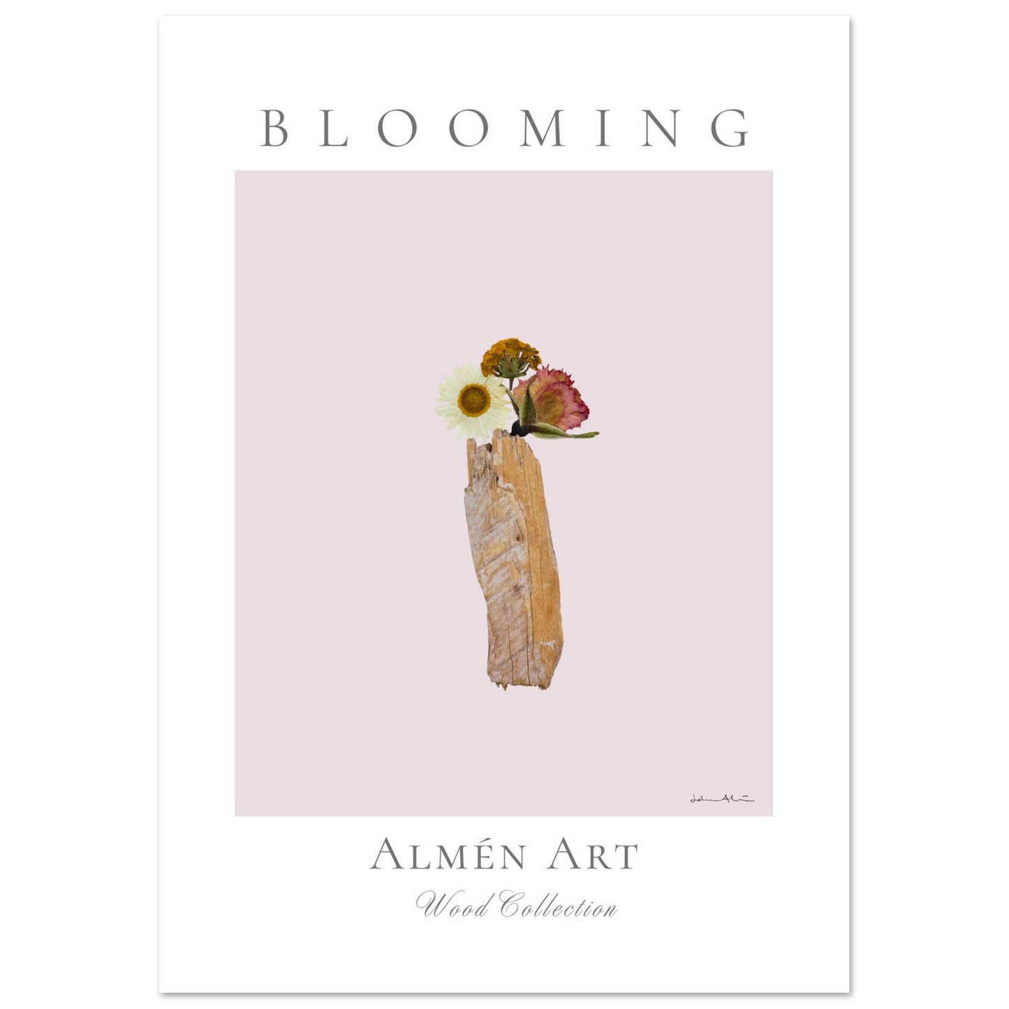 44cd5507-36a6-41ca-b01e-ba4d64f0be59