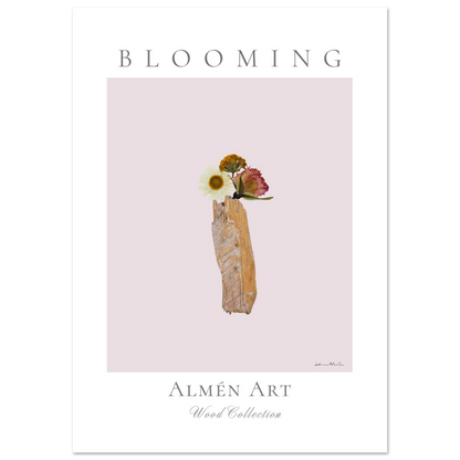 44cd5507-36a6-41ca-b01e-ba4d64f0be59