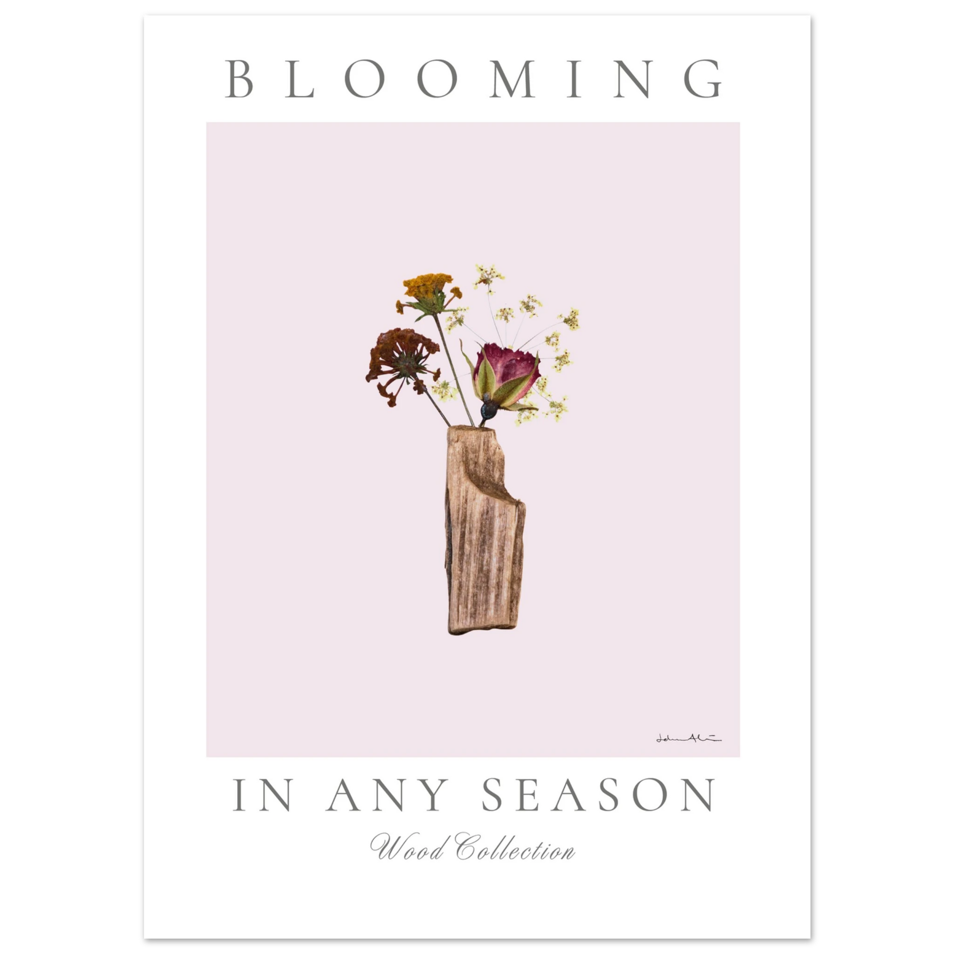 8353da56-c77e-4656-860c-9fdb3f33bc89