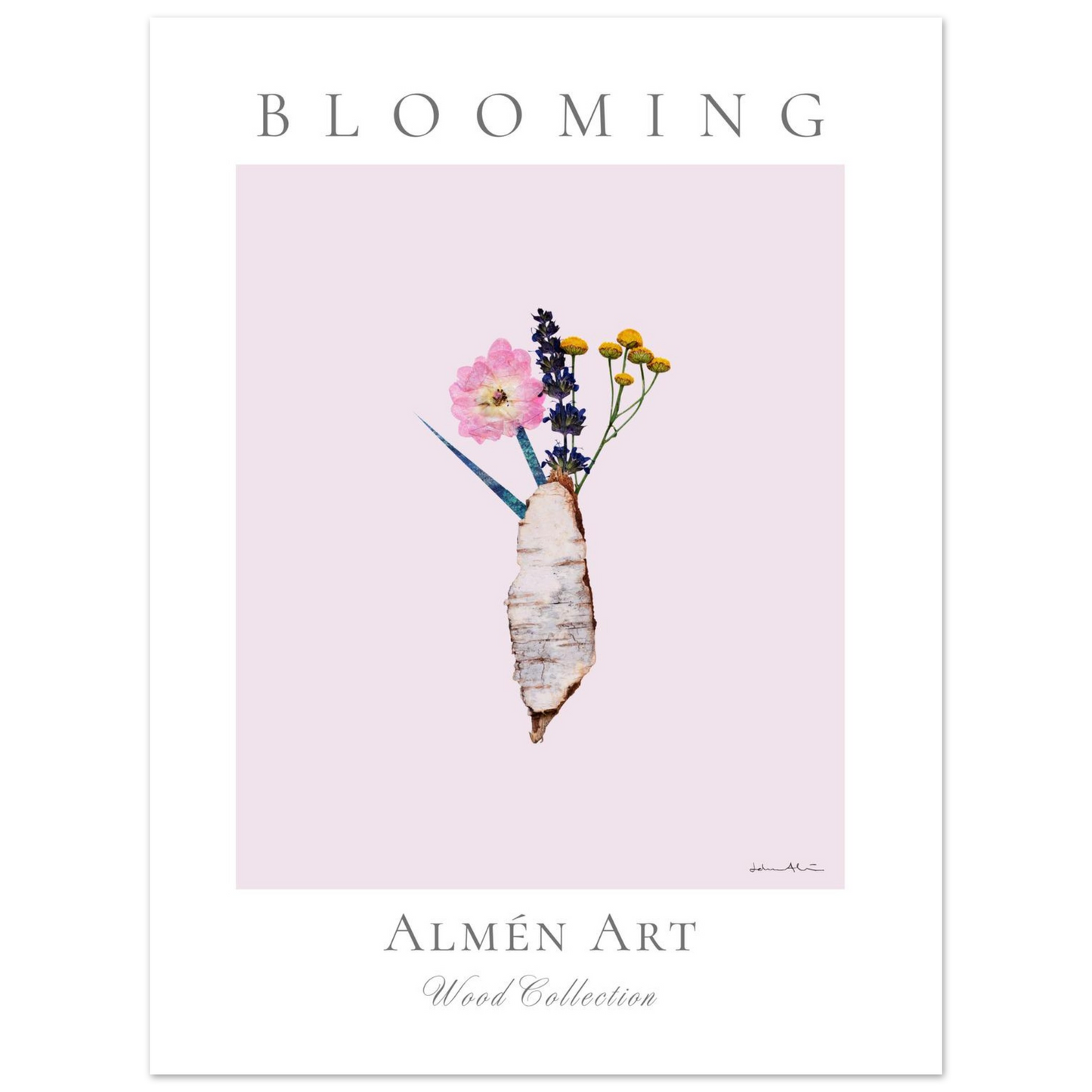 ab496544-e018-45f8-ae1e-a76e4b39671a