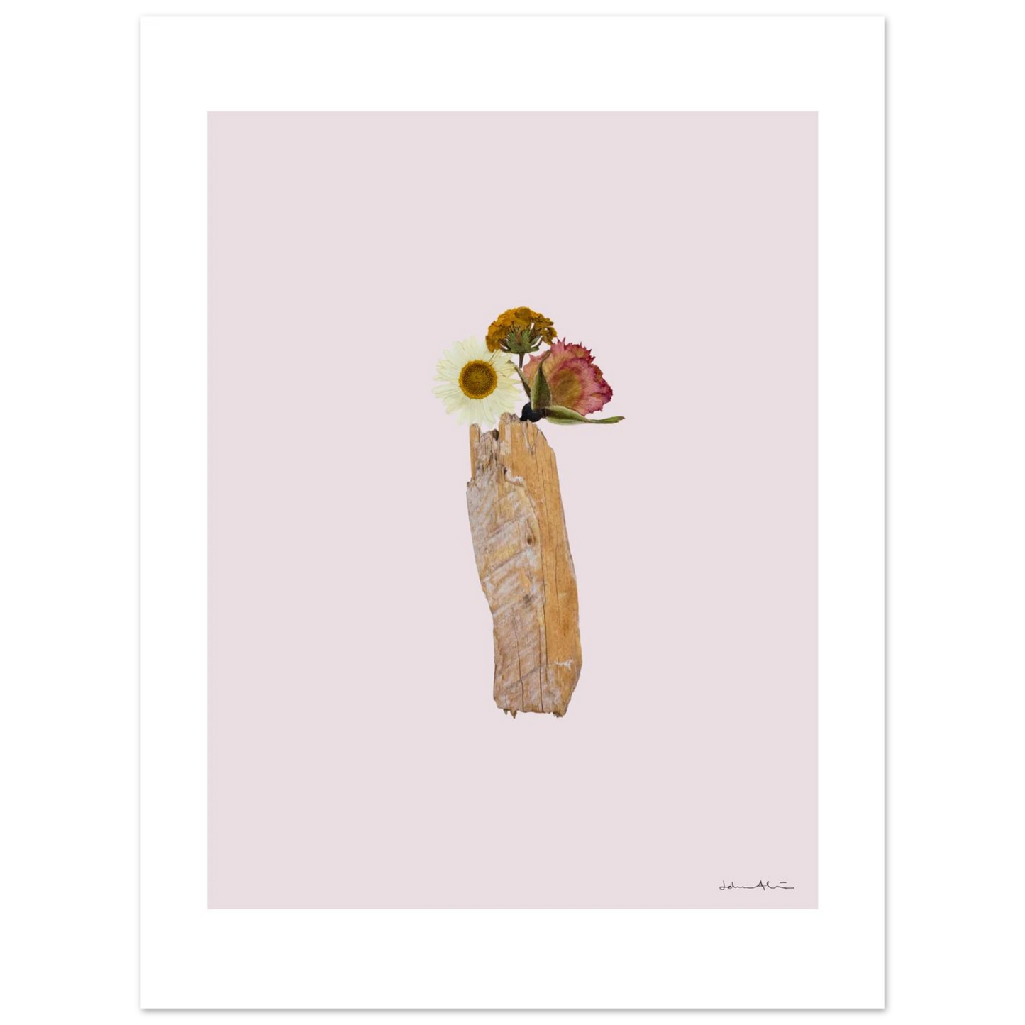 c41b39b8-8f8c-43b5-868d-d602a4c2e03e