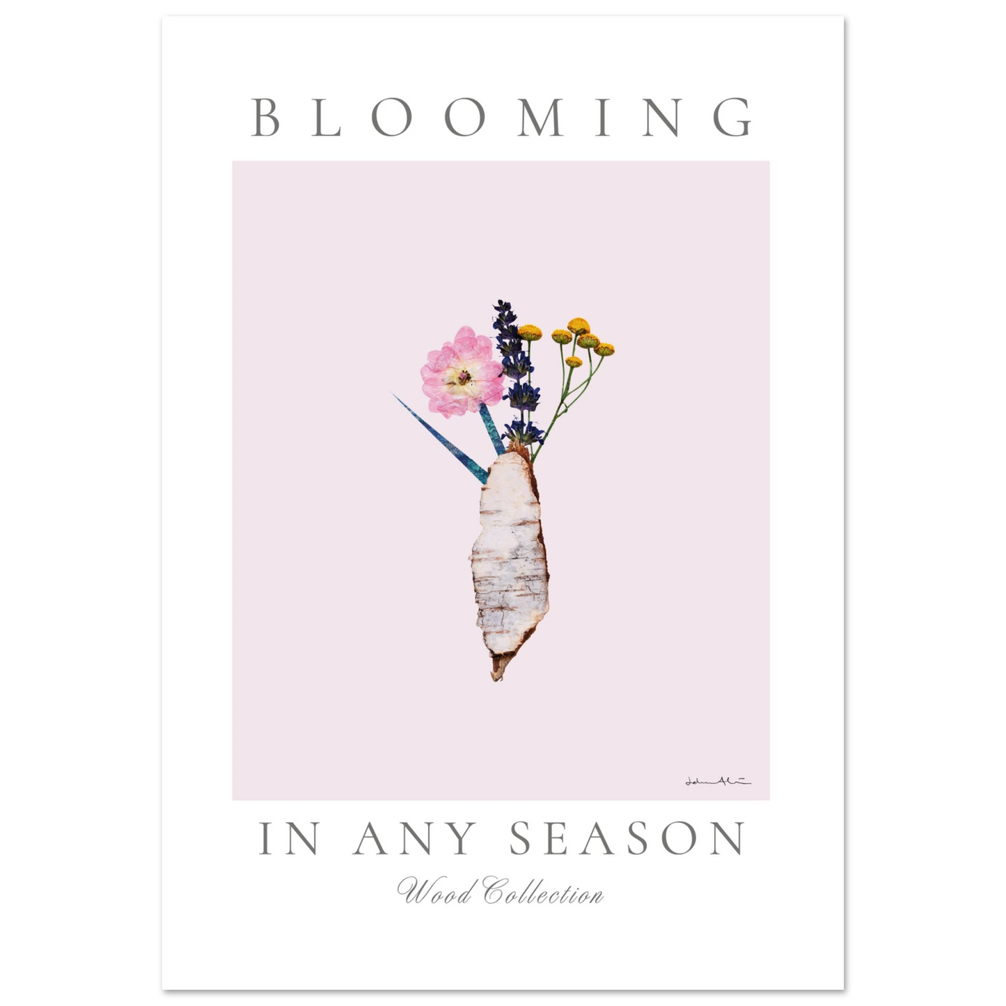 d48a83e8-abf5-4585-a8a2-707d2539396f