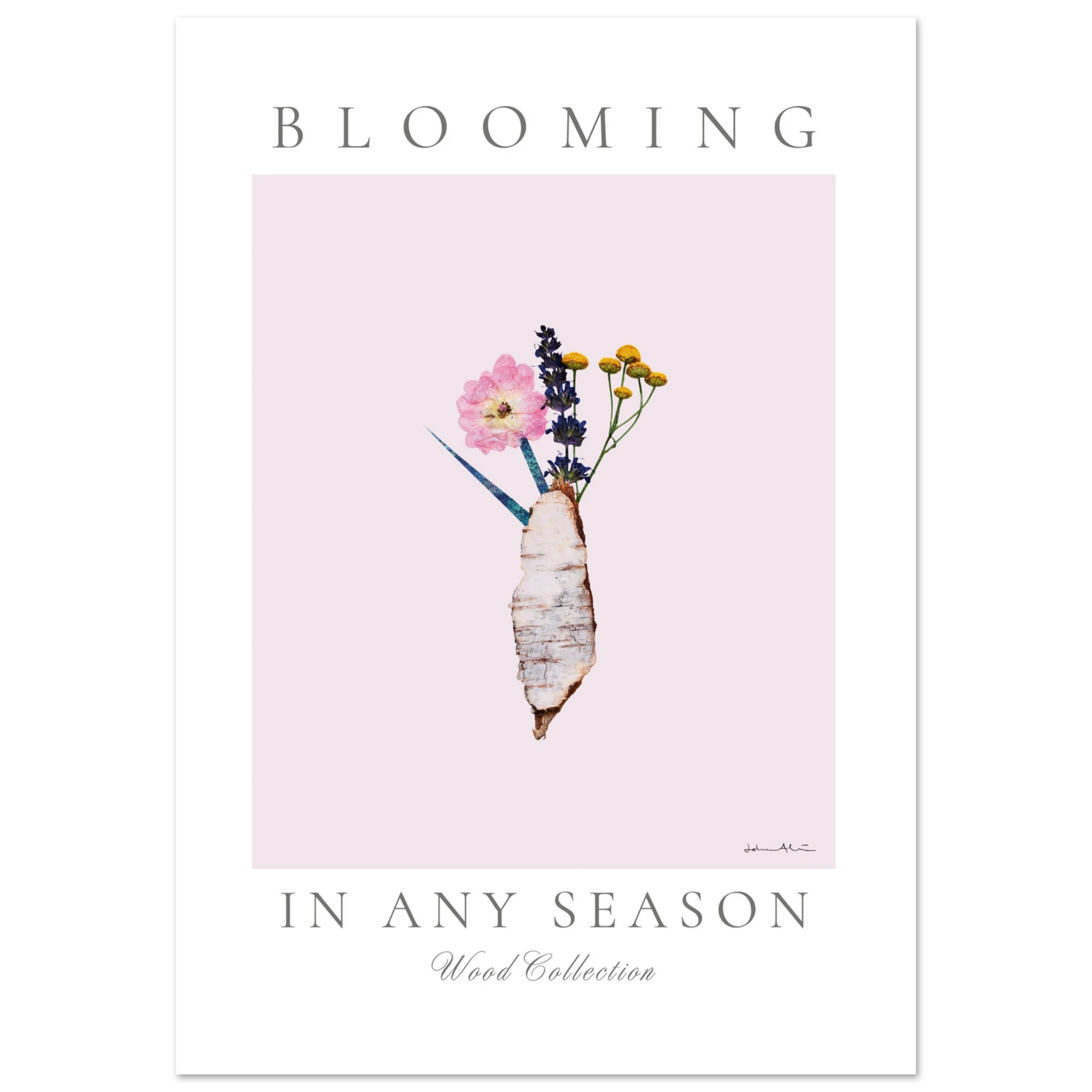 d48a83e8-abf5-4585-a8a2-707d2539396f