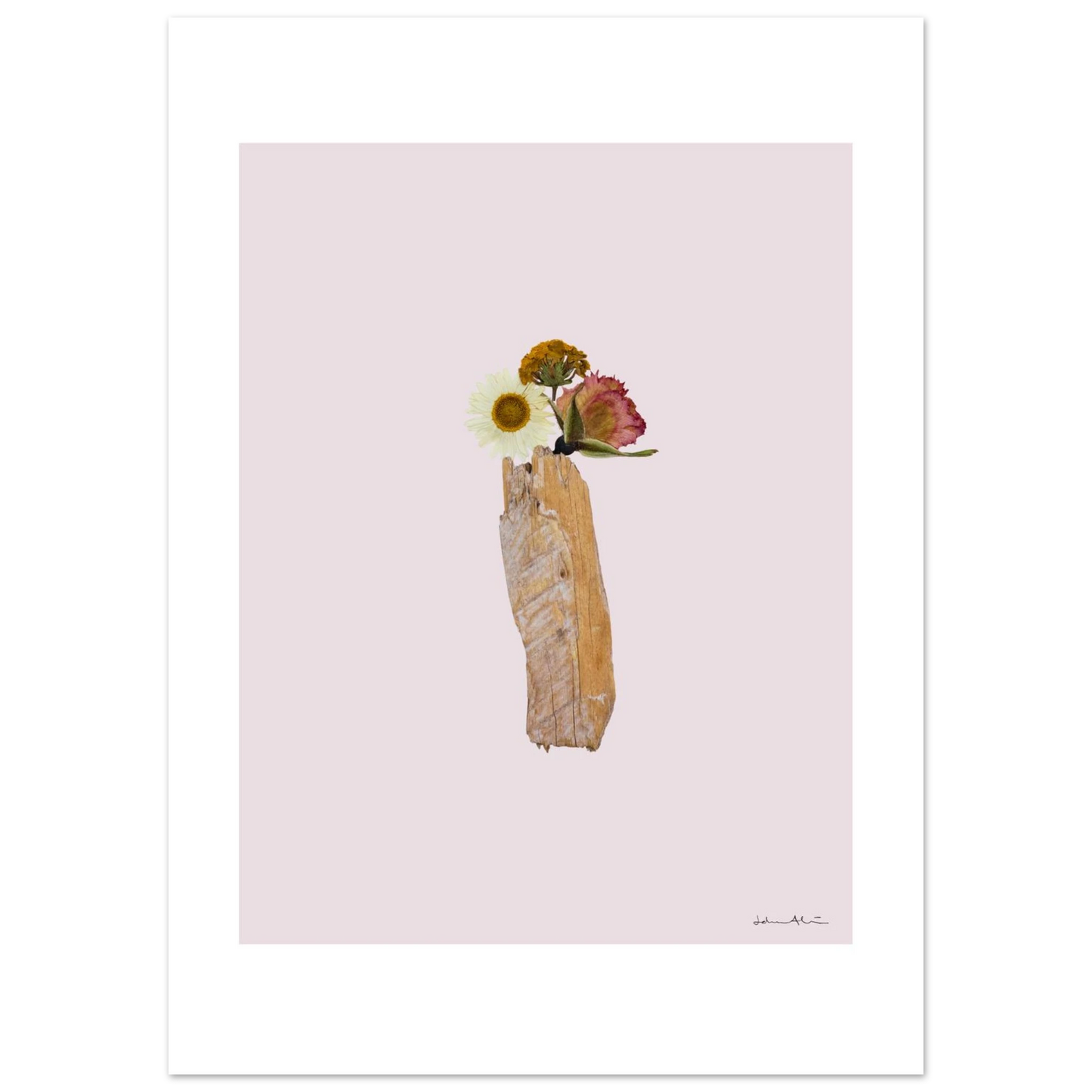 ef1961e2-4c49-4f0a-9429-e6b8bb721037